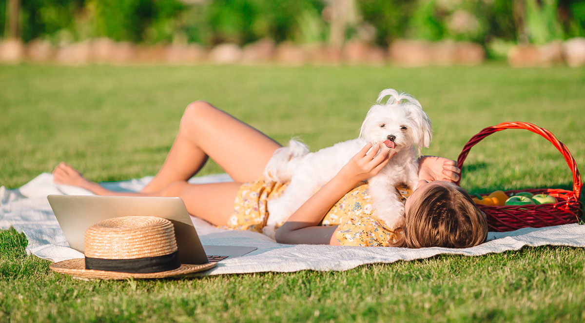 Summer Safety Tips for New Puppy Owners in North Carolina
