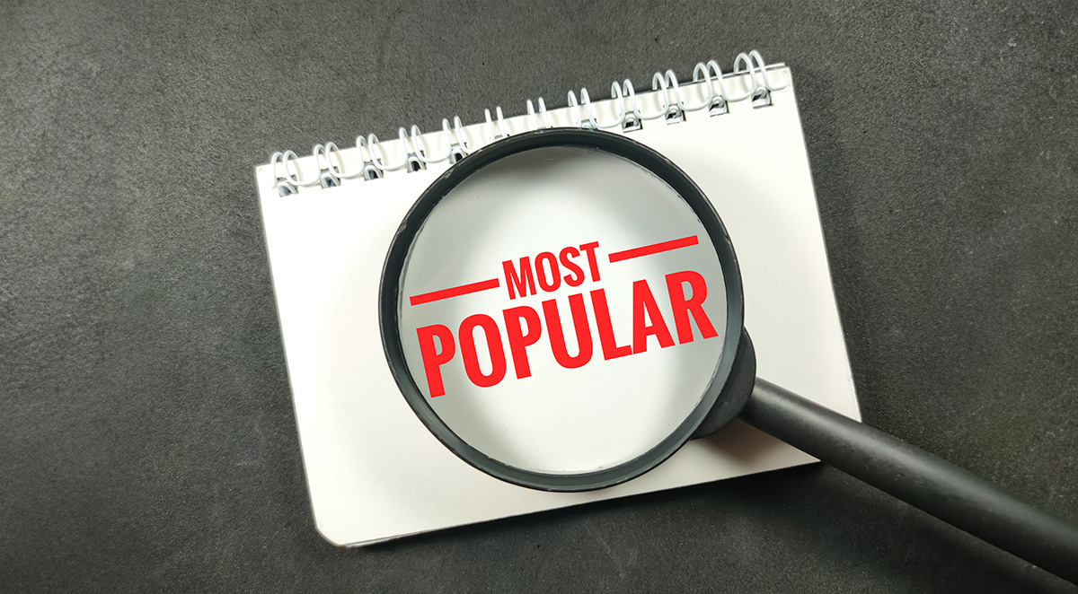 Popular Dog Breeds In The USA