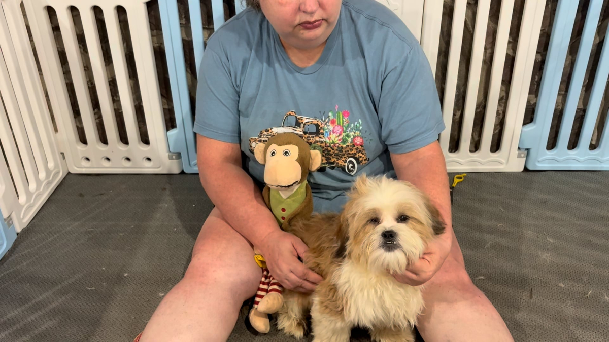 Teddypoo M 5134