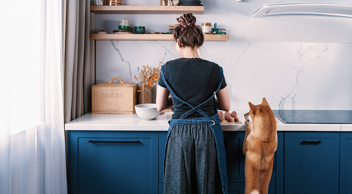 Thanksgiving and Your Dog