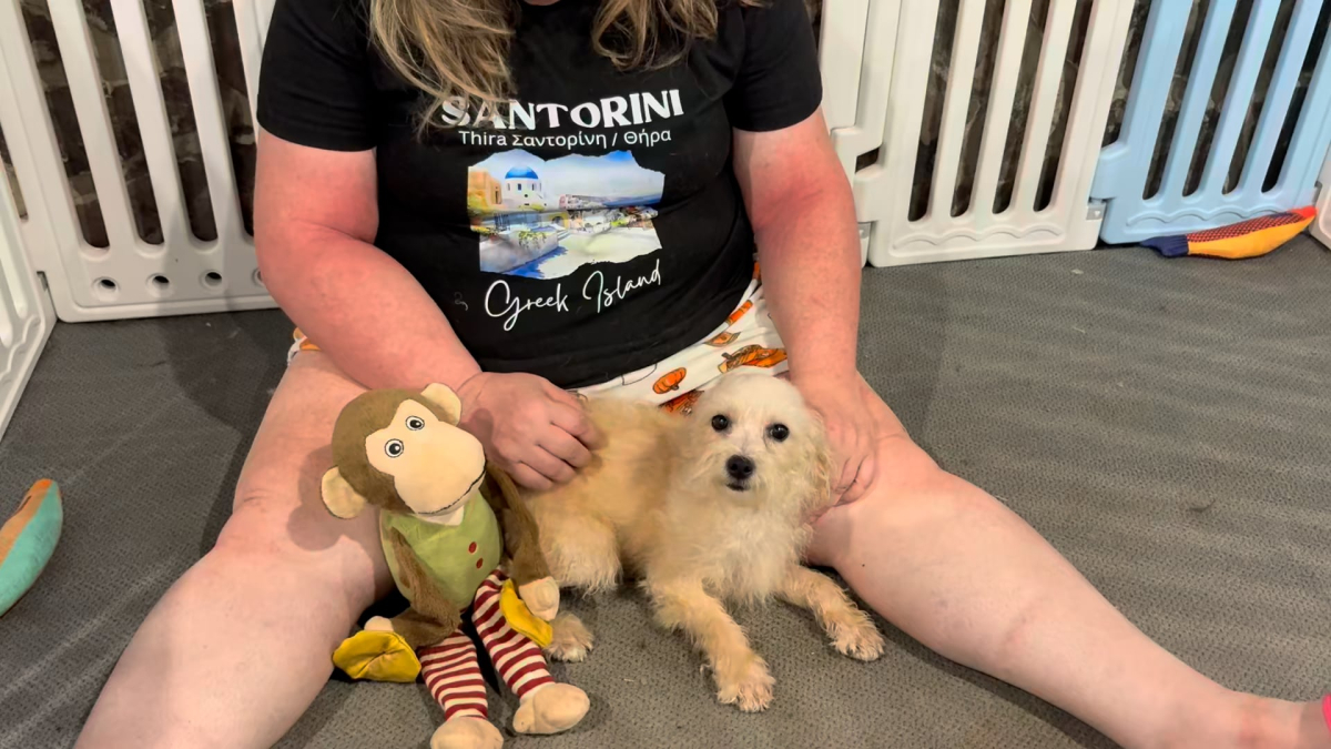 Morkiepoo F 3620