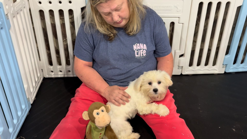 Malshipoo F 5114